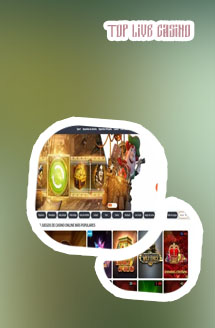 Betnet casino