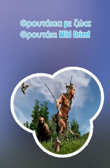 Φρουτακια wild